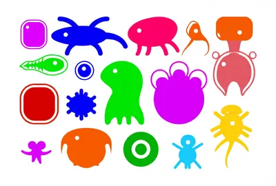 Illustration selection - Image 1