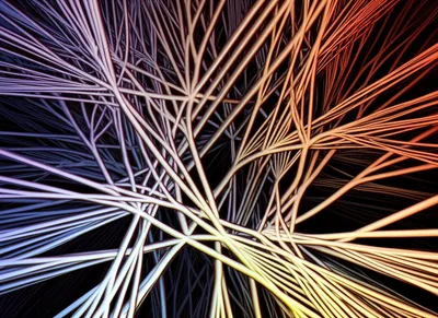 Illustration worm - Image 1