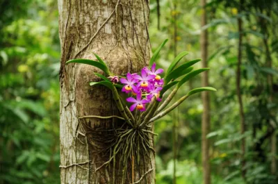 Illustration specialist - Image 1