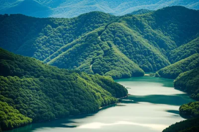 Illustration divides - Image 1