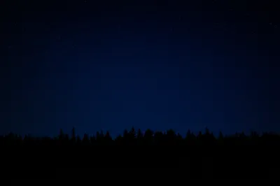 Illustration night - Image 1