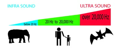 Illustration ultrasonic - Image 2