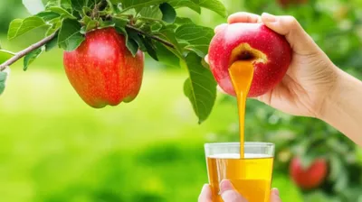 Illustration wring - Image 1