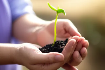 Illustration intends - Image 1