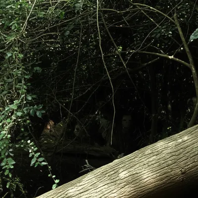 Illustration covert - Image 1