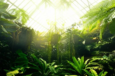 Illustration steamy - Image 1