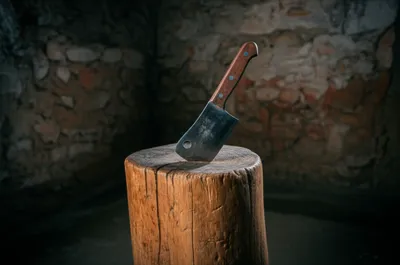 Illustration block - Image 1