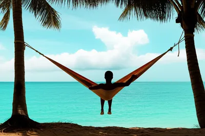 Illustration vacation - Image 1