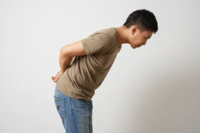 Illustration humpback - Image 1