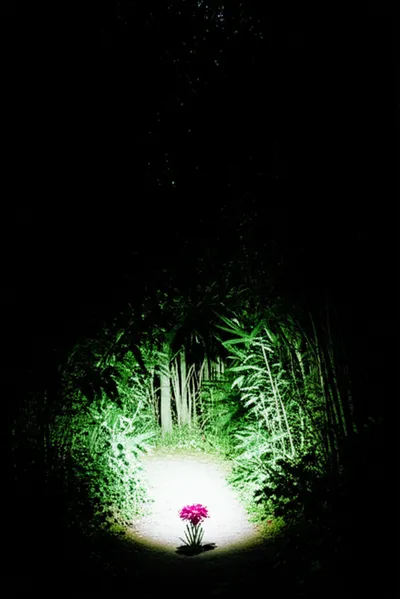 Illustration prelude - Image 2