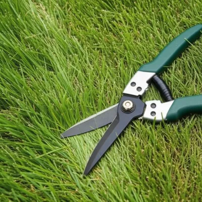 Illustration barbs - Image 1