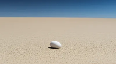 Illustration trivial - Image 1