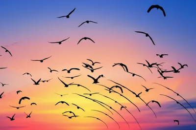 Illustration arcs - Image 1