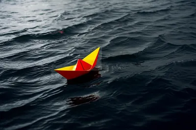 Illustration daunt - Image 1