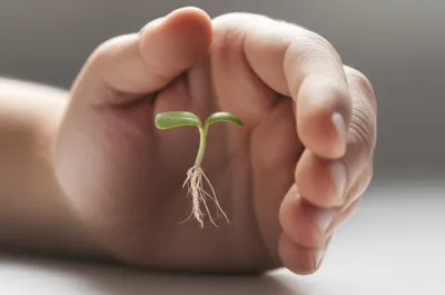 Illustration cupped - Image 1