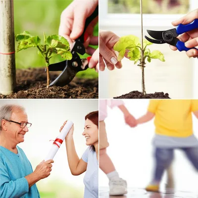 Illustration trained - Image 1