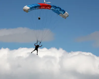 Illustration jump - Image 1