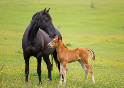 Illustration by - Image 1