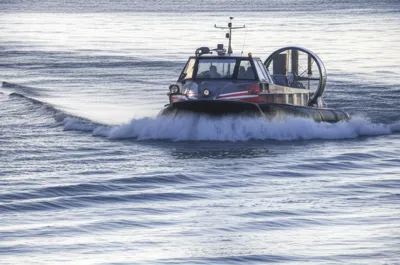 Illustration humps - Image 1