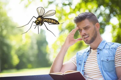 Illustration nag - Image 1