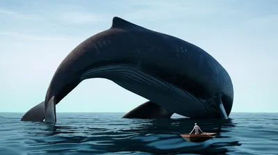 Illustration whale - Image 1