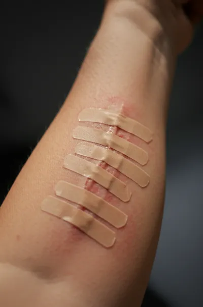 Illustration butterflies - Image 1