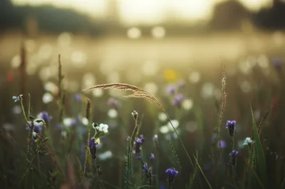 Illustration mild - Image 1