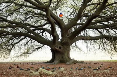 Illustration superordinate - Image 1