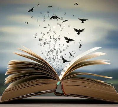 Illustration verbal - Image 1