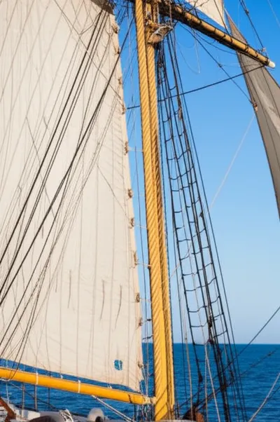 Illustration mainstay - Image 1