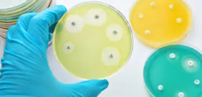 Illustration culture - Image 2