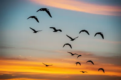 Illustration waffled - Image 1