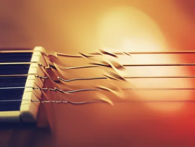 Illustration tremolando - Image 1