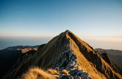 Illustration crest - Image 1