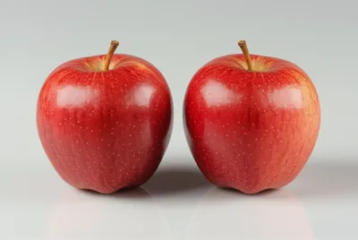 Illustration identical - Image 1