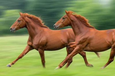 Illustration interfering - Image 1