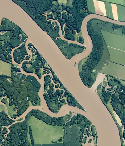 Illustration recapitulate