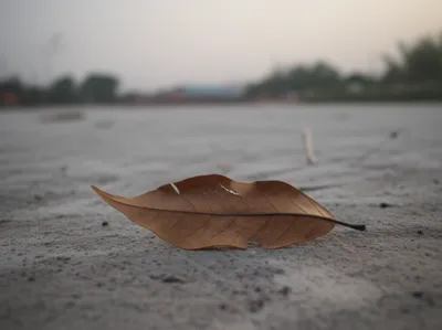 Illustration av - Image 1