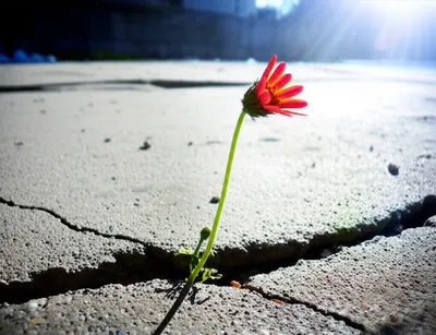 Illustration remarkably - Image 1