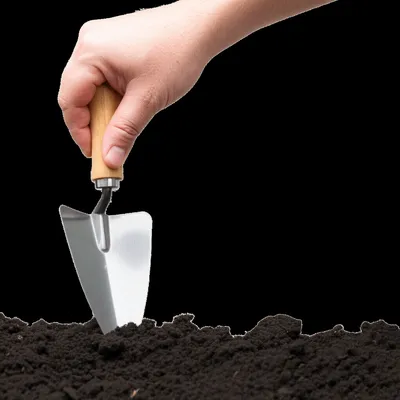 Illustration stroke - Image 1