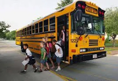 Illustration drop - Image 2