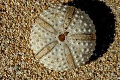 Illustration test - Image 2