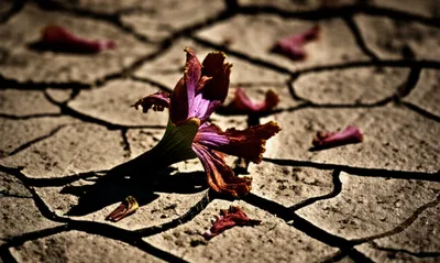 Illustration failing - Image 1