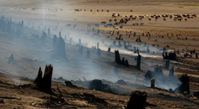 Illustration slashes - Image 1