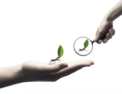 Illustration minuscule - Image 1