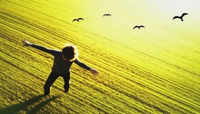 Illustration glider - Image 1