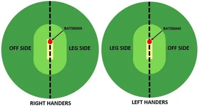 Illustration leg - Image 2