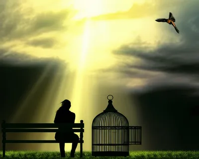 Illustration dispensations - Image 1