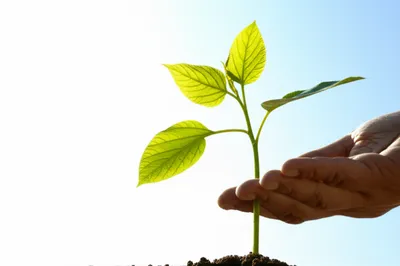 Illustration aiding - Image 1