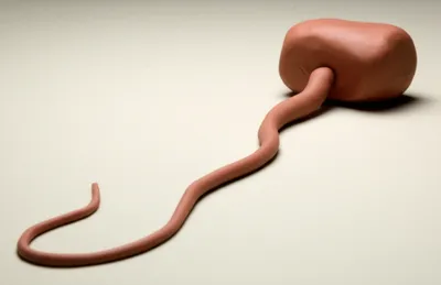 Illustration spaghetti - Image 1